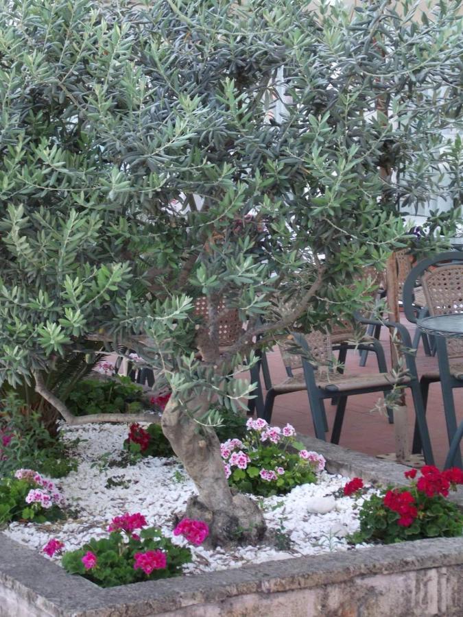 Hotel Timoleon ลีเมนาส ภายนอก รูปภาพ